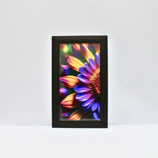 Wall Hanging Frame