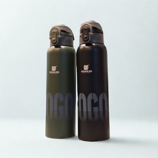 Stainless Steel Insulated Water Bottle