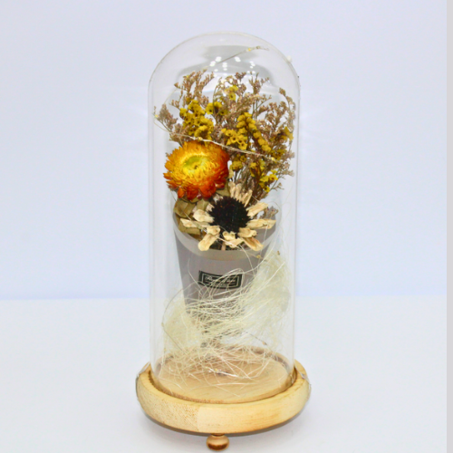 Dainty Dried Flower Dome With Led Light For Decoration